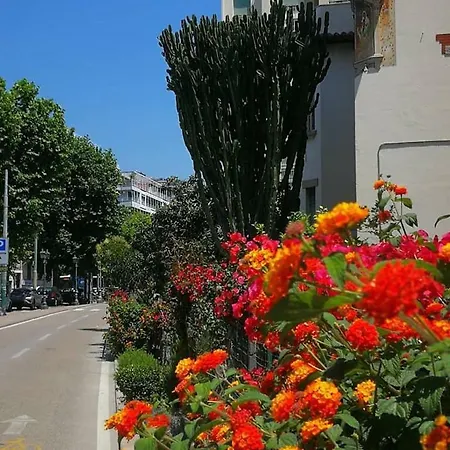 Like - Piazza Bresca Apartment *
